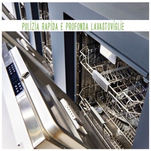 Eko Cura Lavastoviglie e Lavatrice Ecologico 250ml Flacone