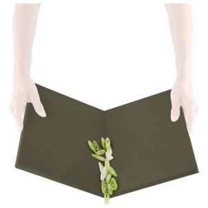 Eva Solo Tagliere DoubleUp Green Tool Due Piccoli o uno Grande Magneti Incorporati