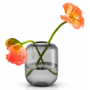 Eva Solo Acorn Vaso H16,5cm Stone Vetro Colorato Soffiato a Bocca