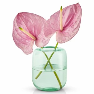 Eva Solo Acorn Vaso H16,5cm Mint Green Vetro Colorato Soffiato a Bocca