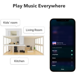 WiiM Pro Plus Network Audio Streamer Hi-Res DAC AKM 4493SEQ AirPlay2 Chromecast Spotify Tidal Bluetooth Controllo Vocale