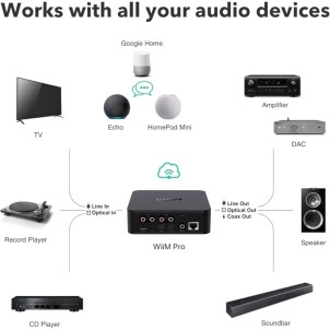WiiM Pro Plus Network Audio Streamer Hi-Res DAC AKM 4493SEQ AirPlay2 Chromecast Spotify Tidal Bluetooth Controllo Vocale