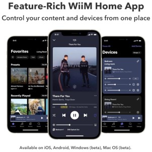 WiiM Ultra Space Grey Network Audio Streamer Hi-Res DAC Sabre ESS9038 Chromecast Spotify Tidal Bluetooth Touchscreen 3,5"