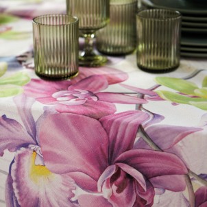 Maison Sucrée Tovaglia Korin Orchidea 155x225 Tessuto AntiMacchia NoStiro