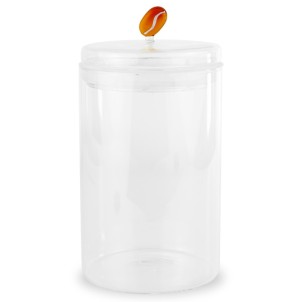 WD Lifestyle WD779CAF Barattolo Caffè 1,2L Vetro Trasparente Coperchio con Decorazione Chicco Caffè in Vetro Soffiato 